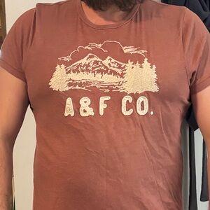 Abercrombie & Fitch Brown Mountain Graphic Tee